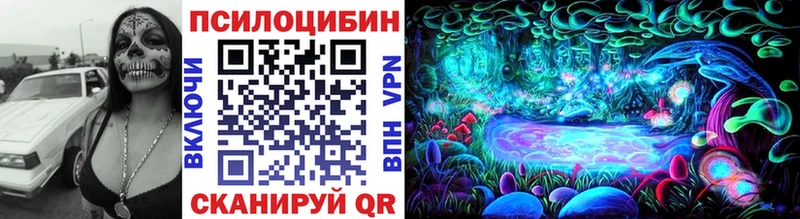 цена Воскресенск Псилоцибиновые грибы Psilocybine cubensis